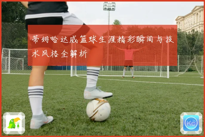 蒂姆哈达威篮球生涯精彩瞬间与技术风格全解析
