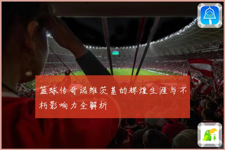 篮球传奇诺维茨基的辉煌生涯与不朽影响力全解析