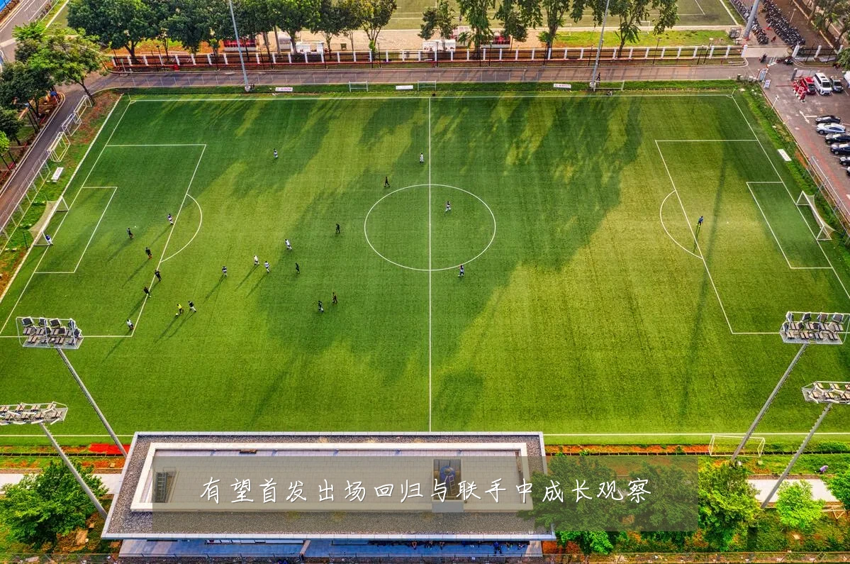 有望首发出场回归与联手中成长观察
